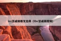 icc惩戒骑雕文选择（tbc惩戒骑视频）