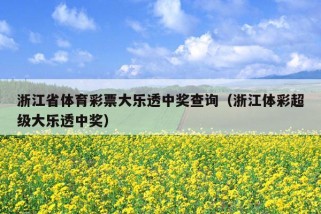 浙江省体育彩票大乐透中奖查询（浙江体彩超级大乐透中奖）