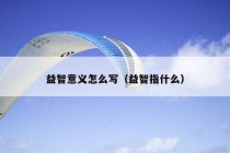 益智意义怎么写（益智指什么）