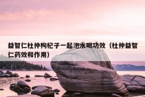 益智仁杜仲枸杞子一起泡水喝功效（杜仲益智仁药效和作用）