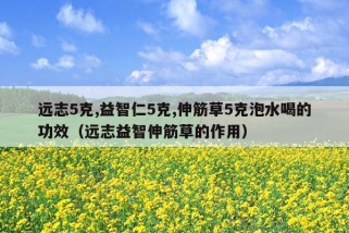 远志5克,益智仁5克,伸筋草5克泡水喝的功效（远志益智伸筋草的作用）