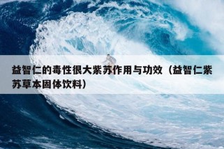 益智仁的毒性很大紫苏作用与功效（益智仁紫苏草本固体饮料）