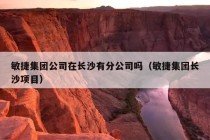 敏捷集团公司在长沙有分公司吗（敏捷集团长沙项目）