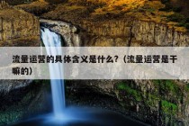 流量运营的具体含义是什么?（流量运营是干嘛的）