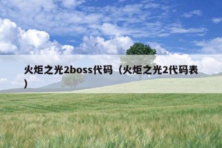 火炬之光2boss代码（火炬之光2代码表）