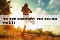 女生打架格斗游戏视频大全（女生打架游戏叫什么名字）