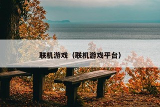 联机游戏（联机游戏平台）