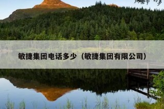 敏捷集团电话多少（敏捷集团有限公司）