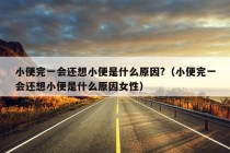 小便完一会还想小便是什么原因?（小便完一会还想小便是什么原因女性）