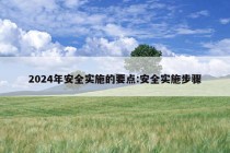 2024年安全实施的要点:安全实施步骤