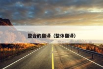 整合的翻译（整体翻译）