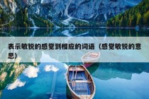 表示敏锐的感觉到相应的词语（感觉敏锐的意思）