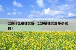 129什么敏捷套好（129敏捷套加多少敏捷）