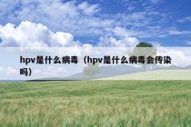 hpv是什么病毒（hpv是什么病毒会传染吗）