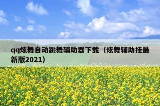 qq炫舞自动跳舞辅助器下载（炫舞辅助挂最新版2021）