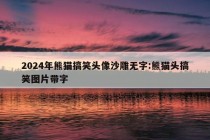 2024年熊猫搞笑头像沙雕无字:熊猫头搞笑图片带字