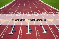 小学生课堂（小学生课堂行程）