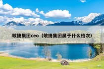 敏捷集团ceo（敏捷集团属于什么档次）