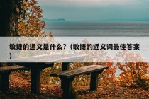 敏捷的近义是什么?（敏捷的近义词最佳答案）