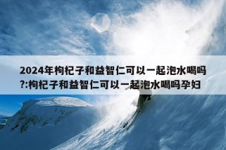 2024年枸杞子和益智仁可以一起泡水喝吗?:枸杞子和益智仁可以一起泡水喝吗孕妇