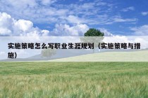 实施策略怎么写职业生涯规划（实施策略与措施）