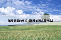 策略策划的单词（策略的英文是什么）