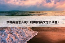 策略英语怎么说?（策略的英文怎么读音）