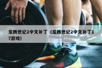 龙腾世纪2中文补丁（龙腾世纪2中文补丁17游戏）