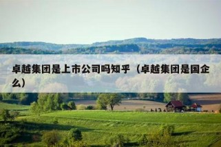 卓越集团是上市公司吗知乎（卓越集团是国企么）