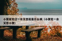 小便尿完过一会又想尿是什么病（小便完一会又想小便）