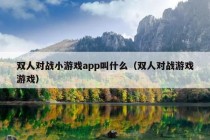 双人对战小游戏app叫什么（双人对战游戏游戏）