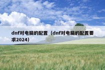 dnf对电脑的配置（dnf对电脑的配置要求2024）