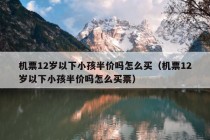 机票12岁以下小孩半价吗怎么买（机票12岁以下小孩半价吗怎么买票）