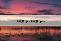 天花板cp（天花板cpu）