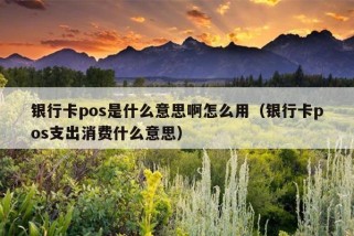 银行卡pos是什么意思啊怎么用（银行卡pos支出消费什么意思）