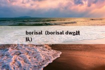 borisal（borisal dwg战队）