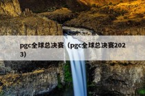 pgc全球总决赛（pgc全球总决赛2023）