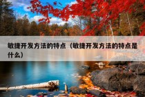 敏捷开发方法的特点（敏捷开发方法的特点是什么）