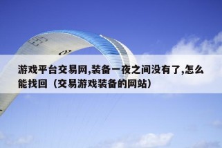 游戏平台交易网,装备一夜之间没有了,怎么能找回（交易游戏装备的网站）