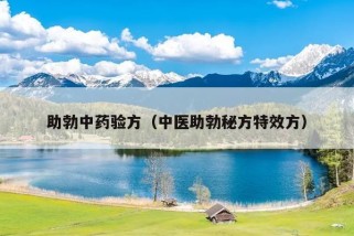 助勃中药验方（中医助勃秘方特效方）