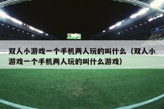 双人小游戏一个手机两人玩的叫什么（双人小游戏一个手机两人玩的叫什么游戏）