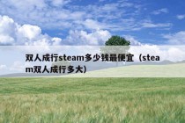 双人成行steam多少钱最便宜（steam双人成行多大）