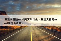 生活大冒险mod英文叫什么（生活大冒险mod叫什么名字）