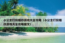 小公主打扮婚纱游戏大全攻略（小公主打扮婚纱游戏大全攻略图文）