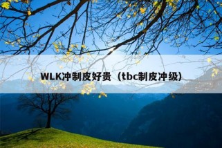 WLK冲制皮好贵（tbc制皮冲级）