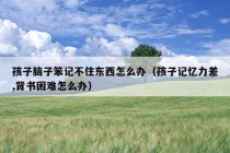 孩子脑子笨记不住东西怎么办（孩子记忆力差,背书困难怎么办）