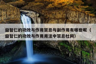 益智仁的功效与作用禁忌与副作用有哪些呢（益智仁的功效与作用用法中禁忌杜网）