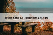 敏捷意思是什么?（敏捷的意思是什么呢）