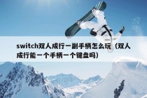 switch双人成行一副手柄怎么玩（双人成行能一个手柄一个键盘吗）