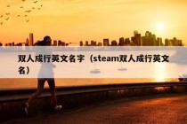 双人成行英文名字（steam双人成行英文名）